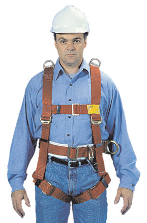 Body-harness-2