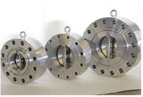 1-Checkvalves